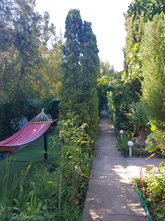 Квартира Квартира Уютная, очень зеленая дача у моря — Севастополь