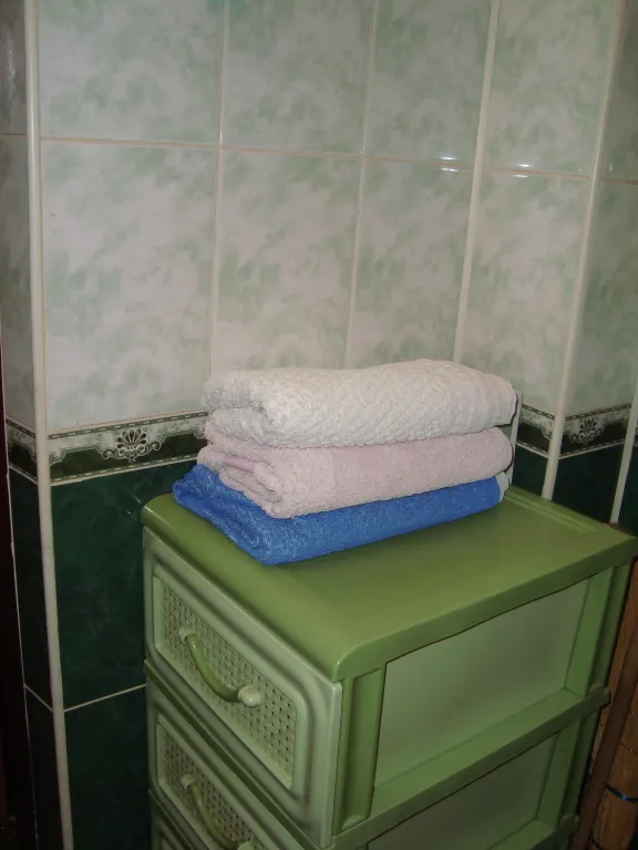 Рядом автовокзал, Мега Гринн