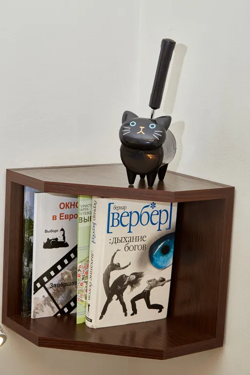 Wow-студия у библиотеки Аалто