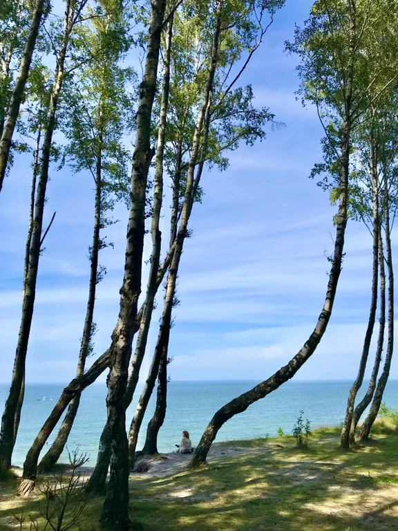 Квартира Baltic breeze уютные апартаменты у моря — Пионерский