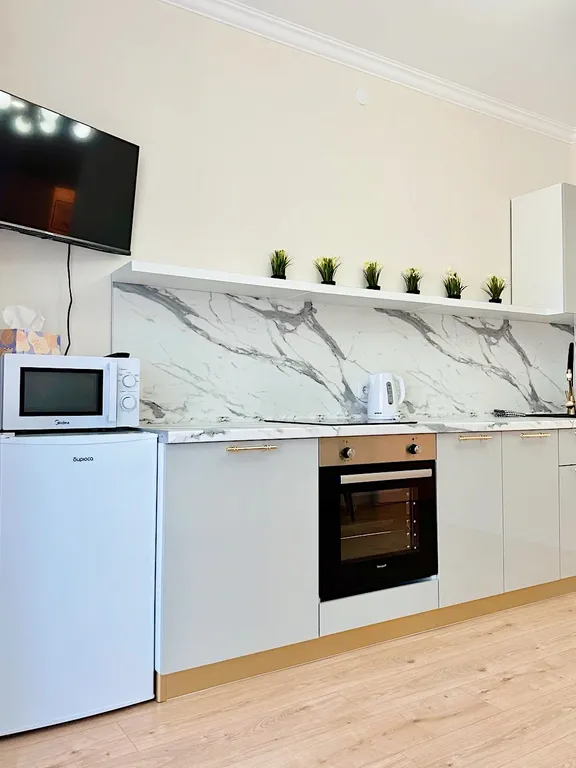 Однокомнатные апартаменты с современным ремонтом