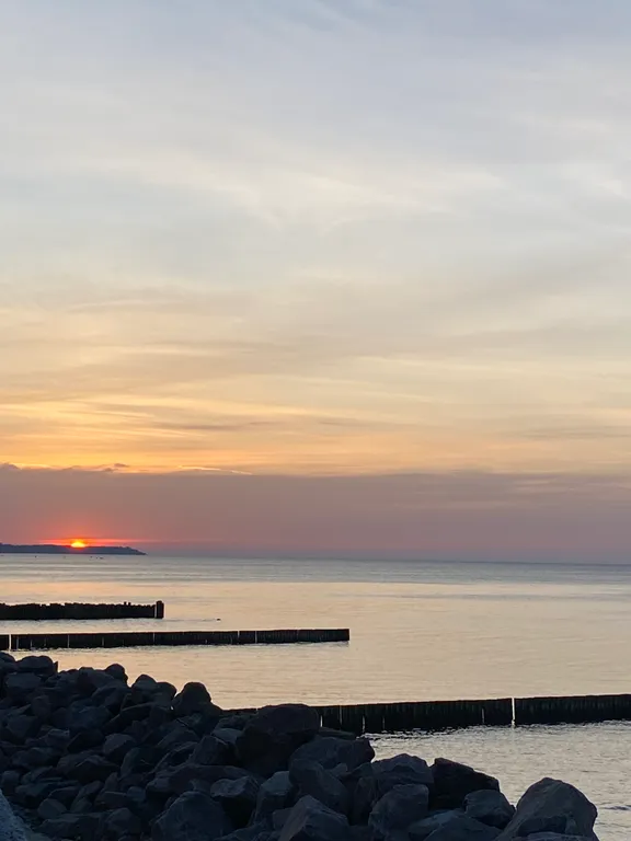 Квартира Уютная и светлая квартира рядом с морем — Светлогорск