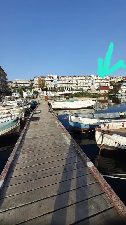 Студия на причале с видом на яхты  и чаек