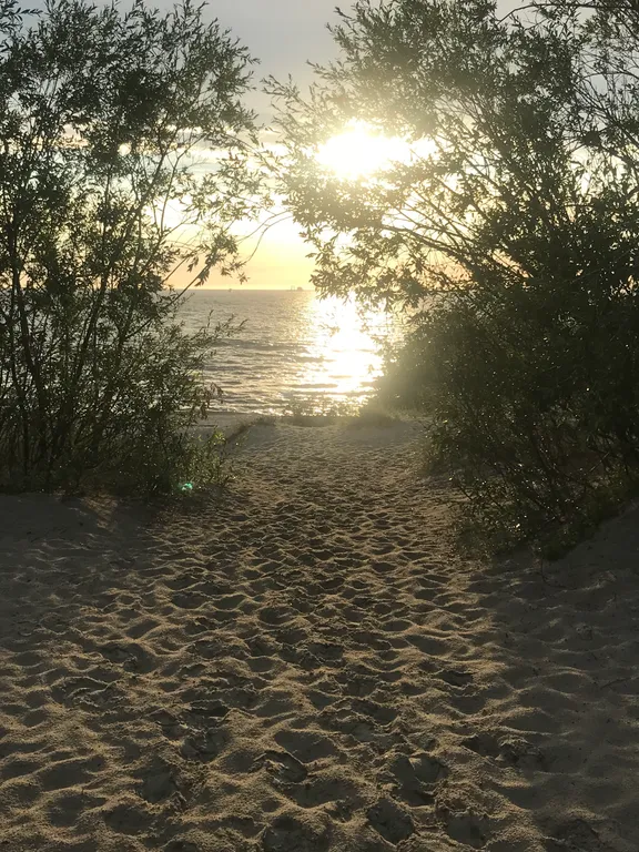 Квартира на первой линии от моря