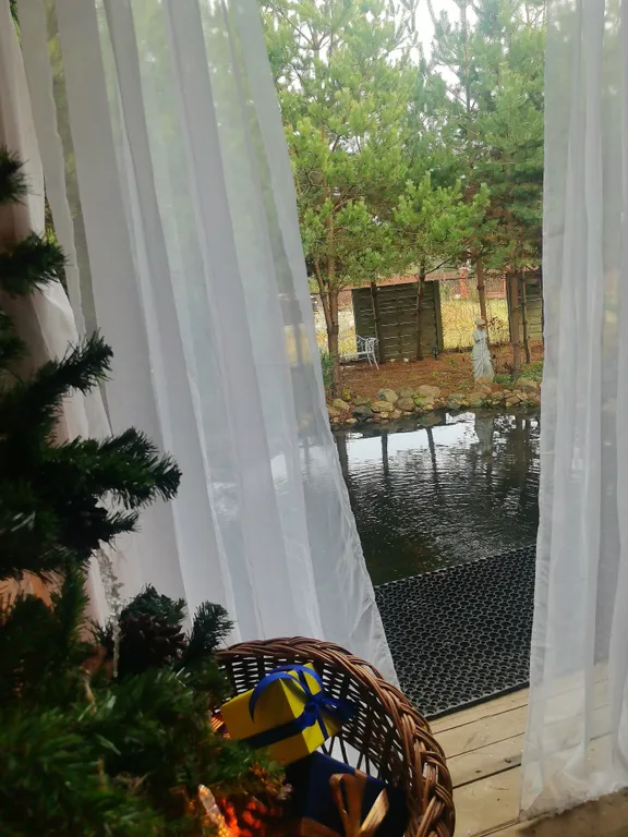 Гостевой фотодом Зазеркалье