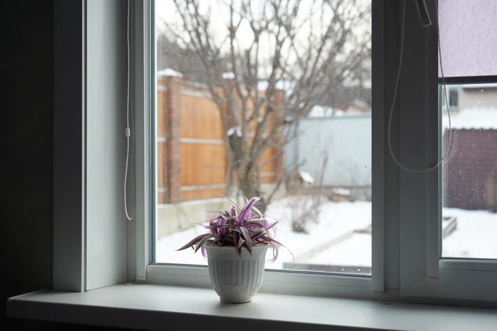 Дом У канатки