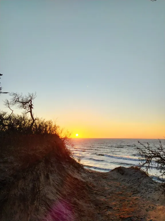 Комната с выходом на лужайку