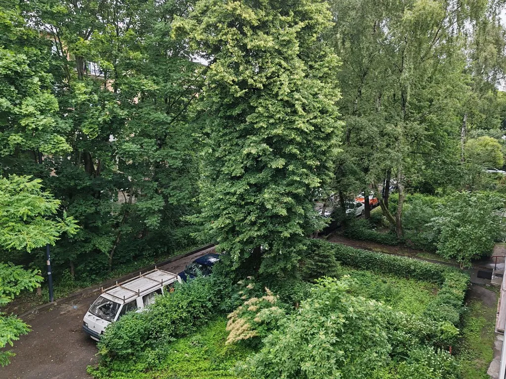 Квартира Уютная квартира около нижнего озера — Калининград