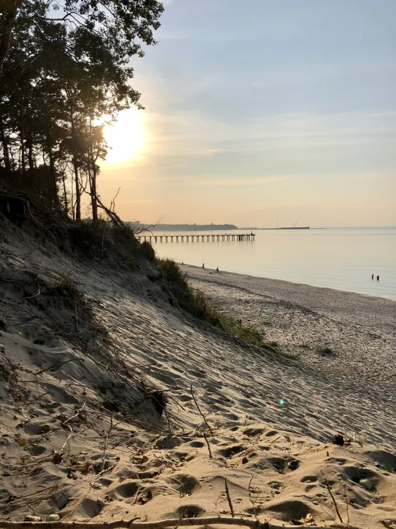 Квартира Однокомнатная квартира у моря и соснового бора — Пионерский