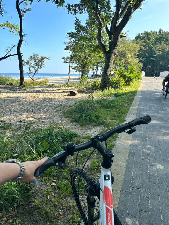 Квартира Уютная квартира с велосипедами  и большой террасой у Балтийского моря — Светлогорск