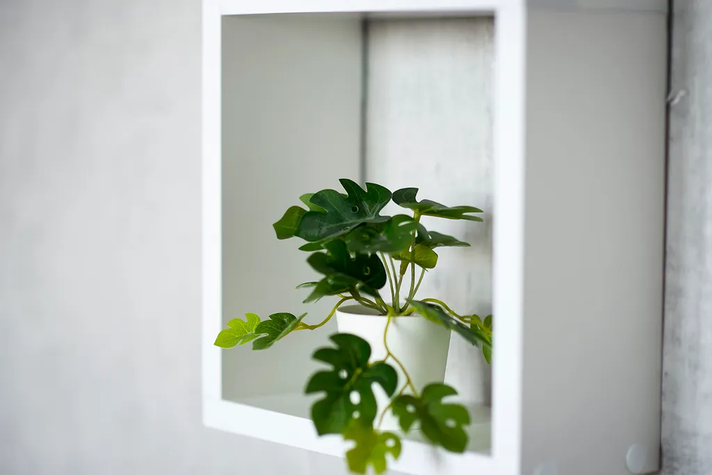 Евродвушка у Ледового дворца, стадиона Локомотив и вокзала