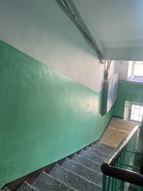 Маленькая студия рядом с лесом