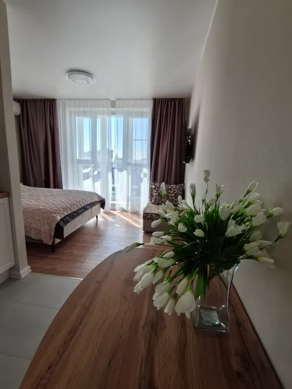 Уютная студия с красивым видом на город