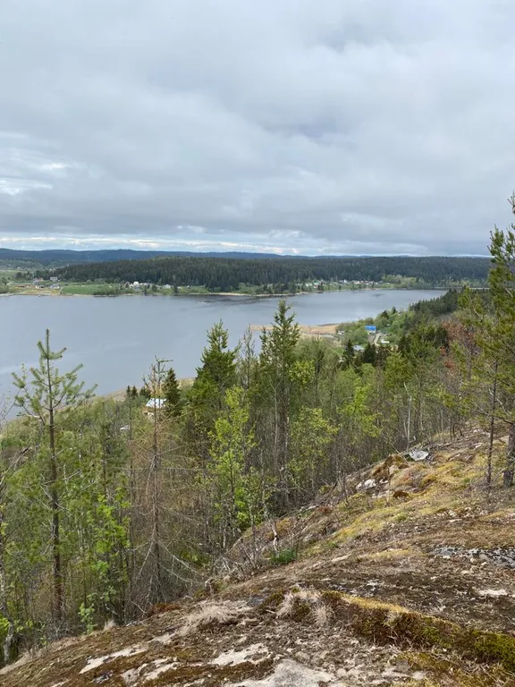 Деревенский дом у озера