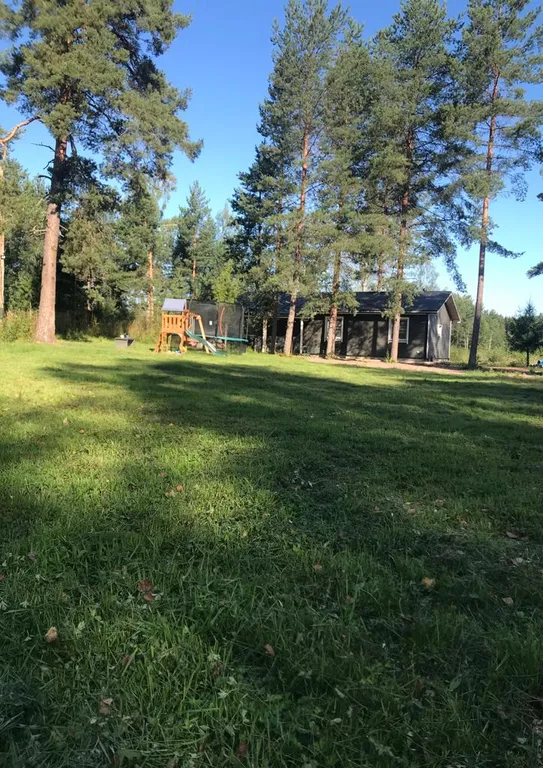 Haavejärvi - озеро мечты! Уютный дом на берегу озера в сосновом лесу