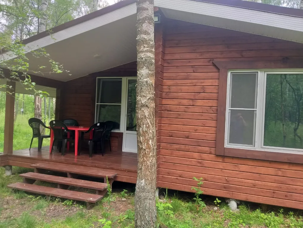 Дом в лесу, со всеми удобствами