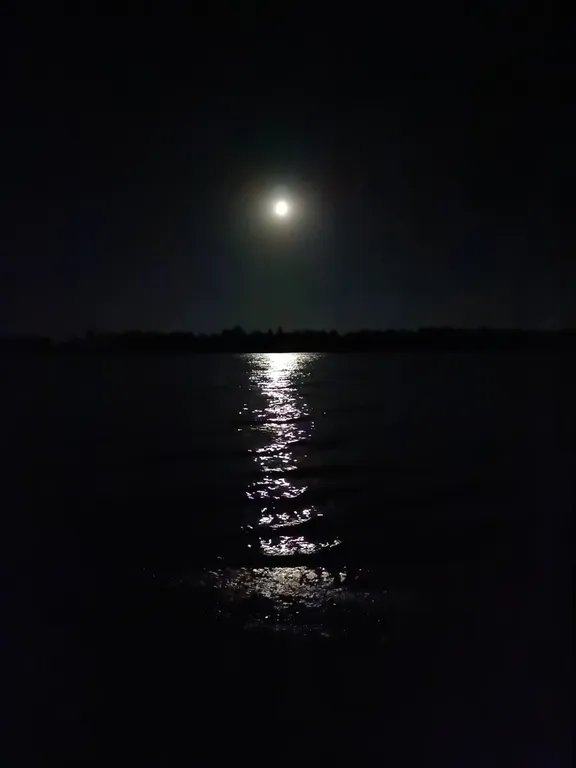 Коттедж с проектом с видом на Волгу с бесконтактным заселением