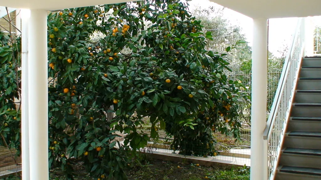 Квартира Комната — Гагра