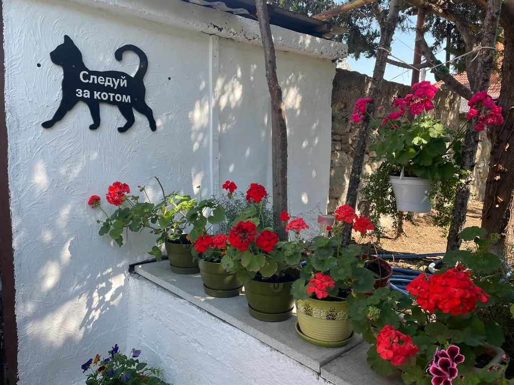 Квартира Квартира Цветущий уголок в историческом центре Севастополя — Севастополь