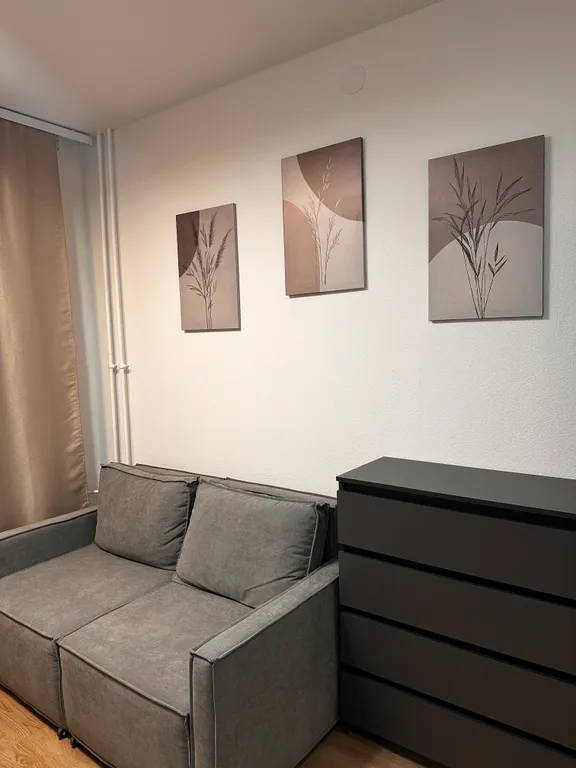 Квартира Квартира Уютная студия в поселке Песочный рядом с НИИ Петрова — Песочный