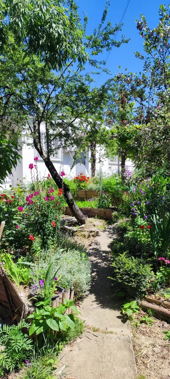 Коттедж Дом для отдыха в Сочи — Сочи