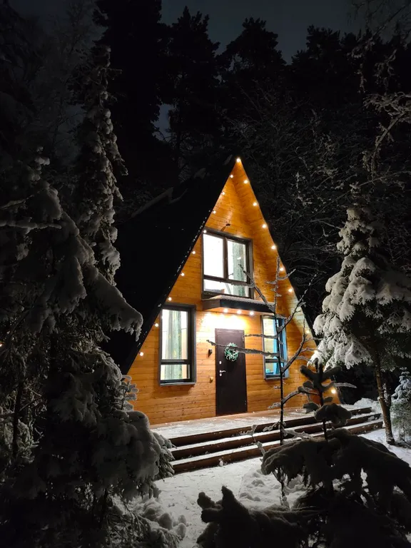 Большой уютный дом в лесу