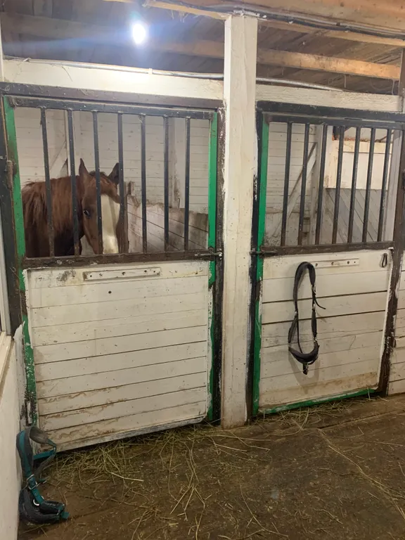 Дом на берегу озера с собственной конюшней