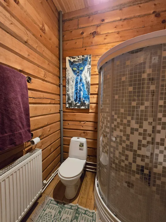 Кедровый дом на Телецком озере