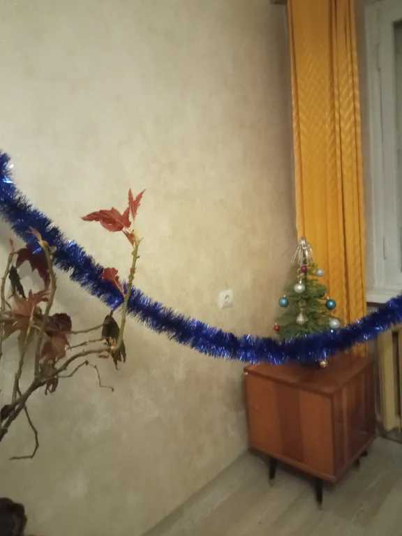 Лучше чем дома