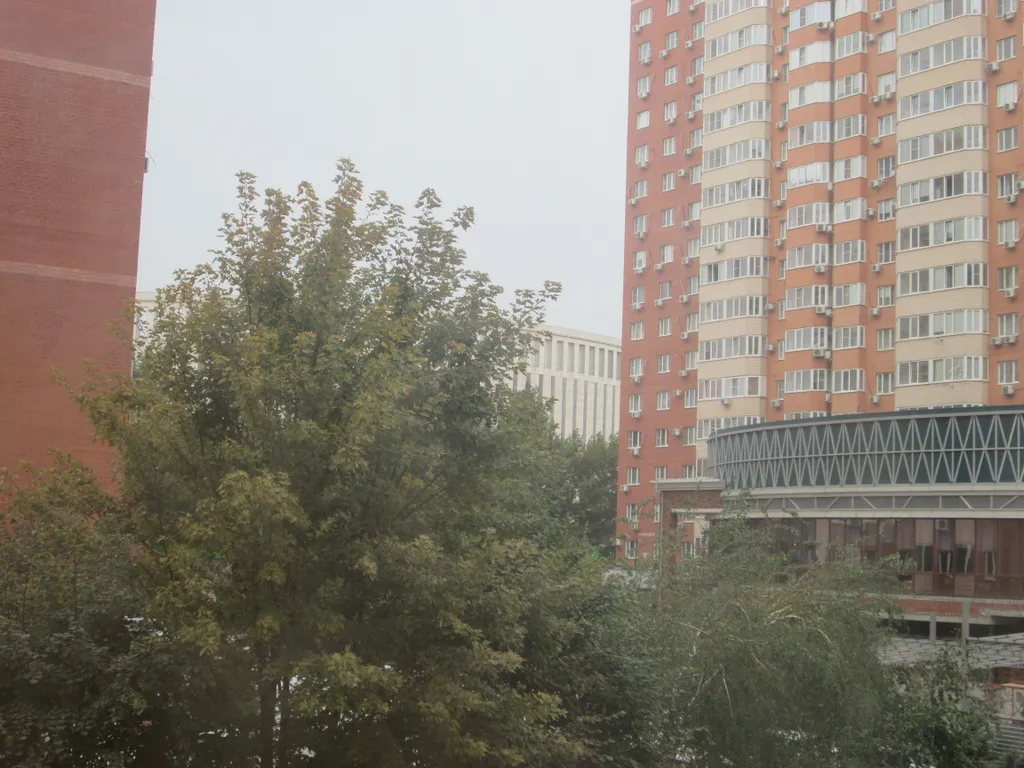 Квартира Уютная квартира с новым ремонтом возле парка Галицкого — Краснодар