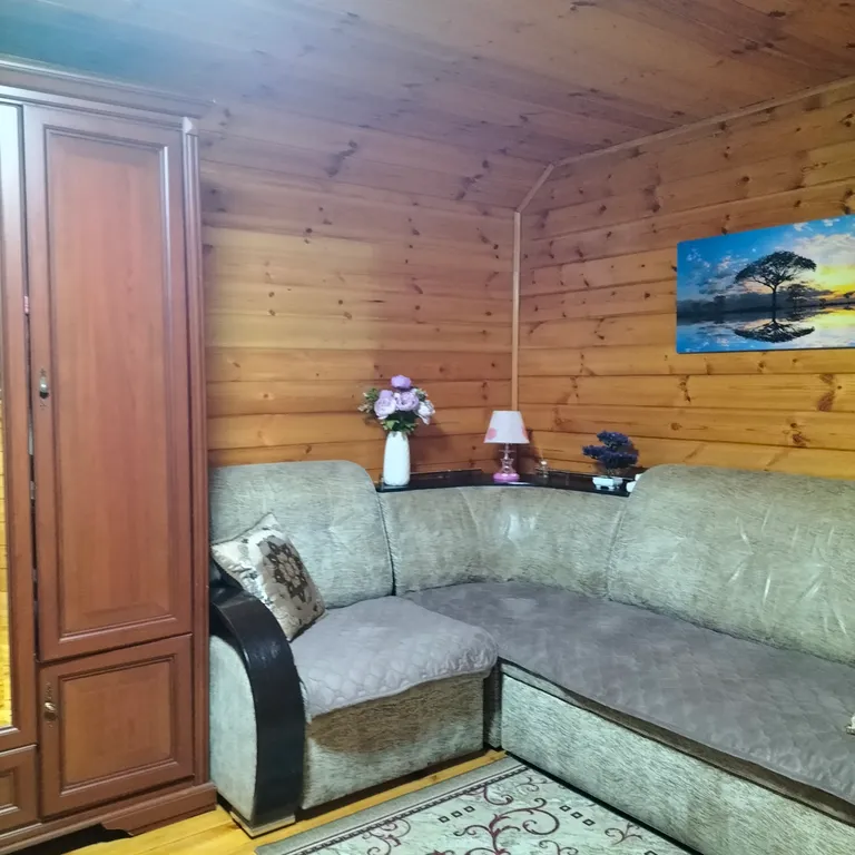 Дом - коттедж У Федота в черте города