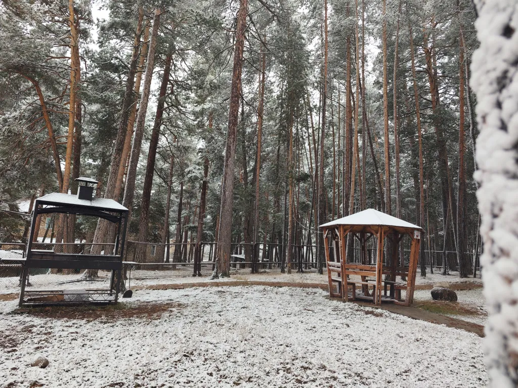 Уютная квартира в сосновом лесу в сердце гор