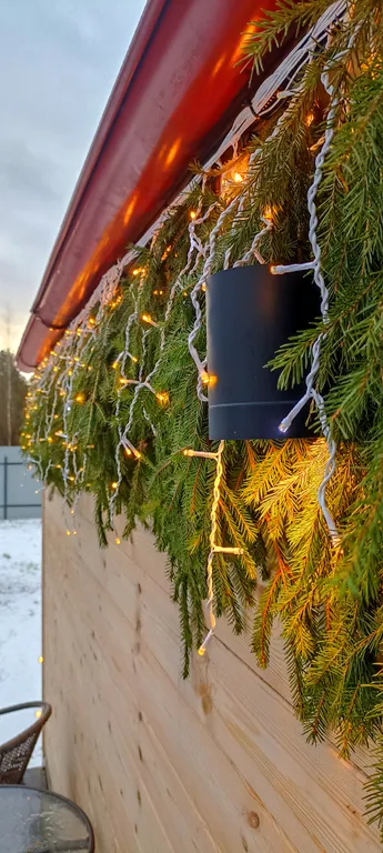 Домик с чаном в лесу