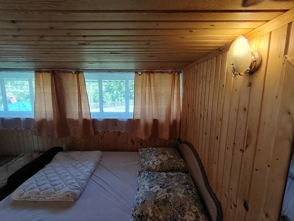 Летний номер с видом на березовый лес