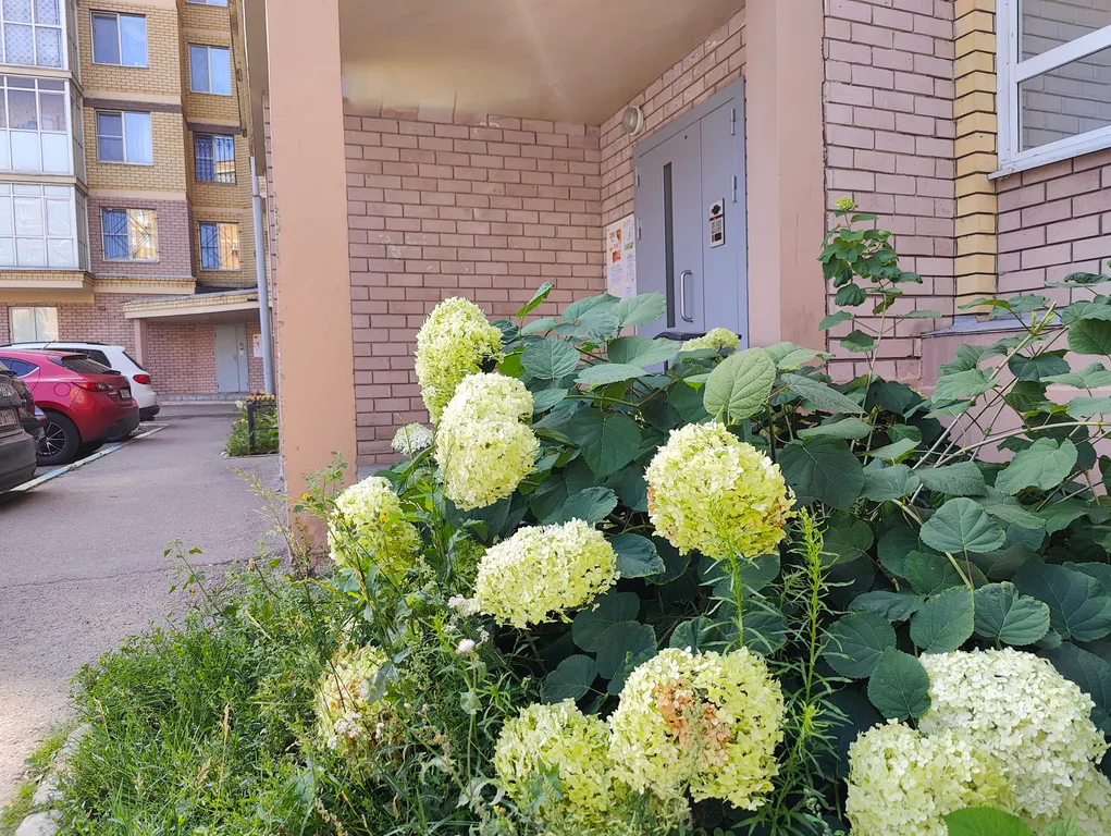 Квартира Уютная квартира недалеко от центра города — Казань
