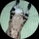 Ольга
