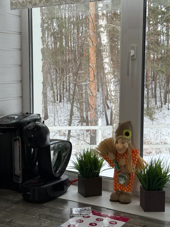 Уютный дом в соснах для семейного отдыха