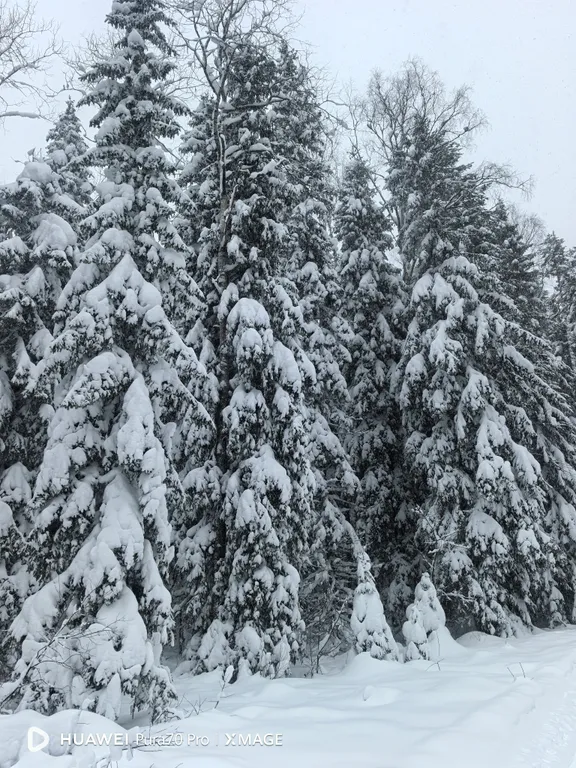Квартира с видом на Онежское озеро