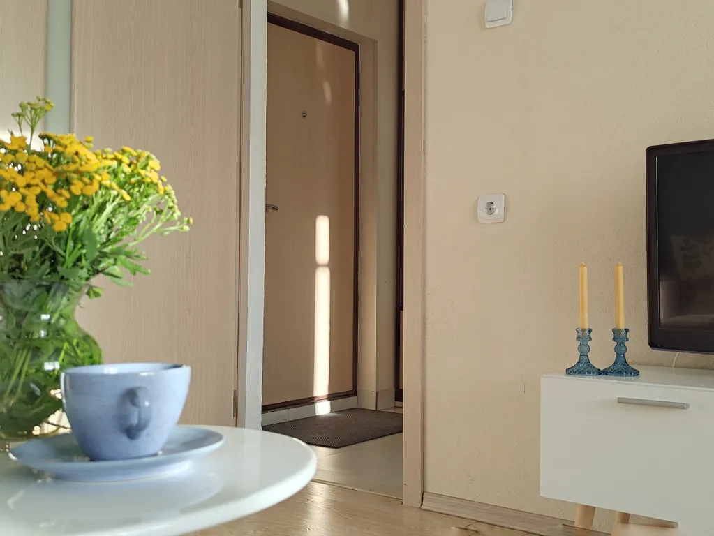 Прелестные апартаменты "Морриса" напротив Шашлычной №1