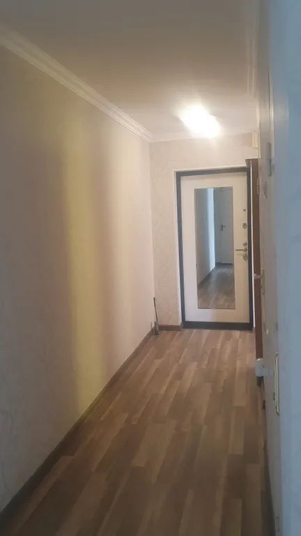 Квартира Уютная квартира для комфортного отдыха — Светлогорск