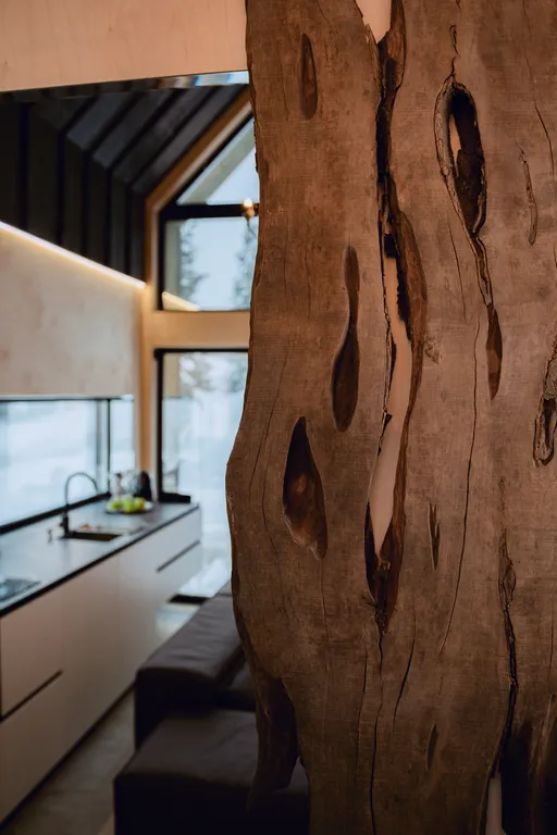 Шале Гагарин