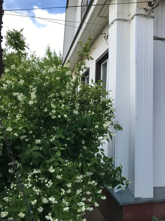 Уютный дом в тихом районе центра города