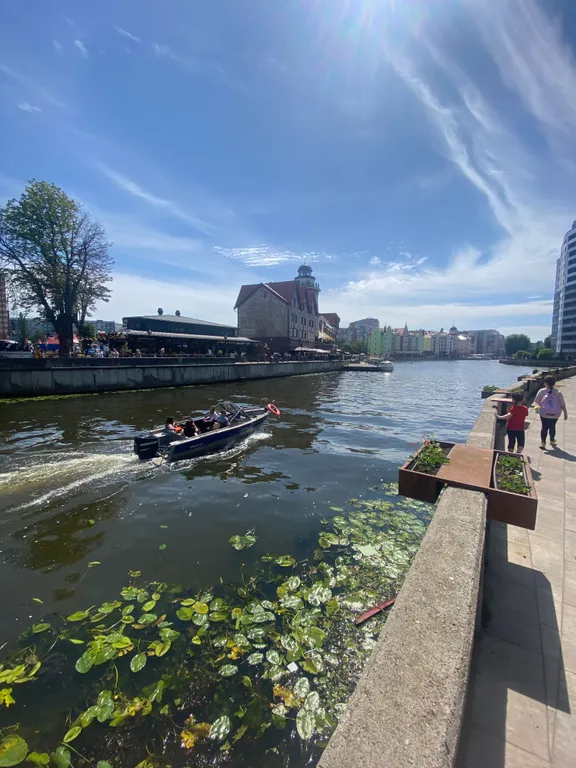 Квартира Уютная квартира в самом центре города — Калининград