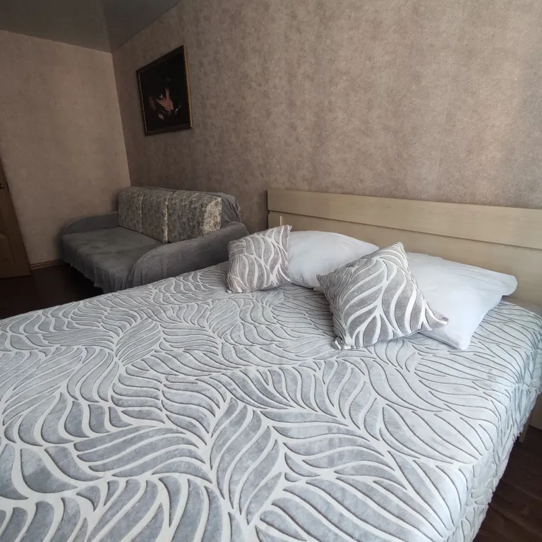 Уютная квартира на Чкалова-Калинина