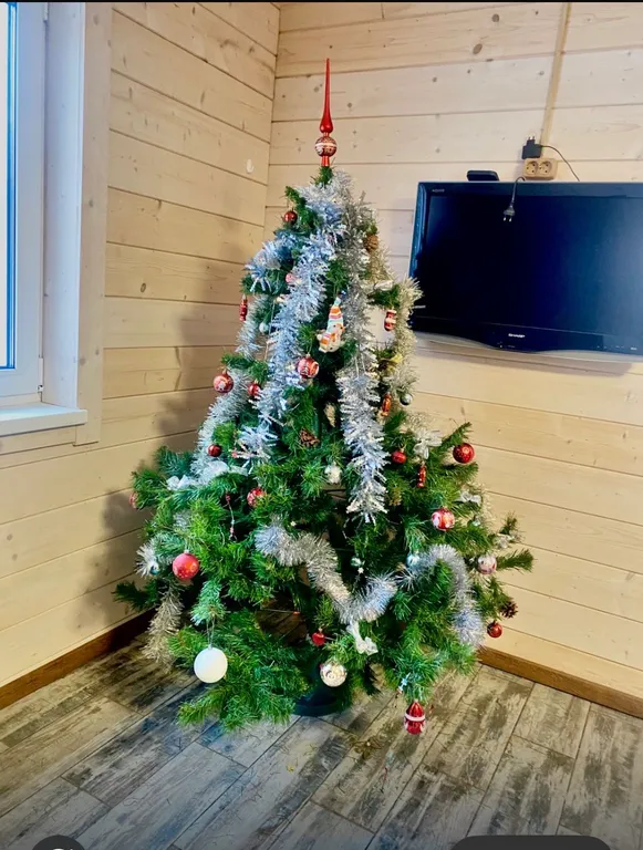 Коттедж Дом у леса — Санкт-Петербург