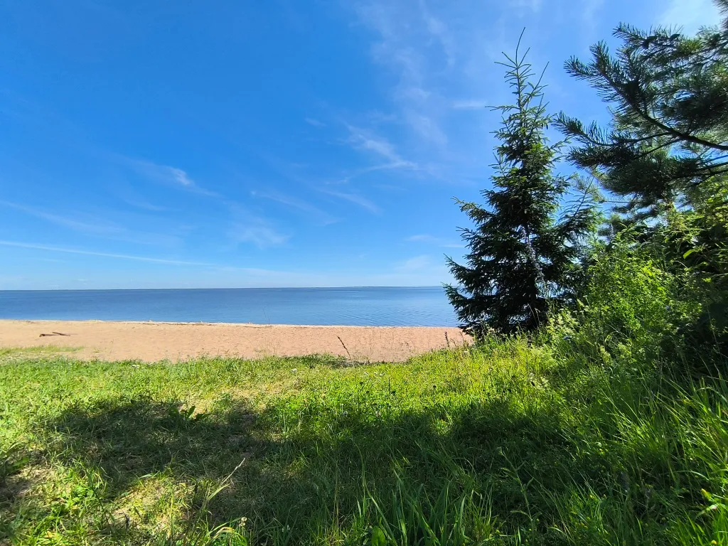 Уютный глэмпинг на прекрасном острове на псковском озере
