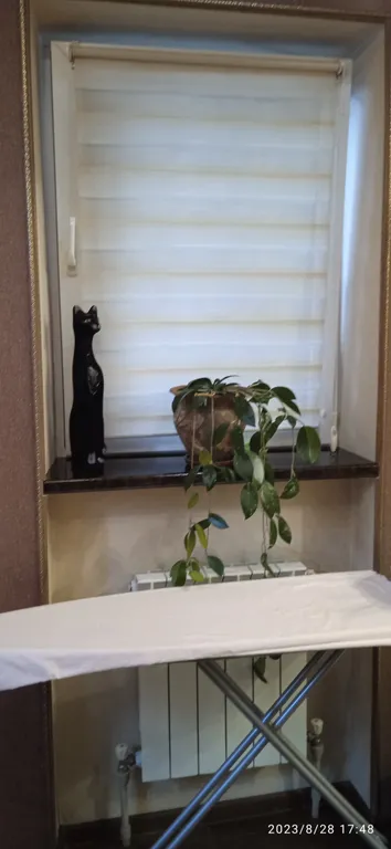 Золотая середина