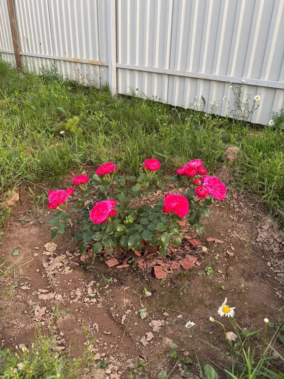 Коттедж Уютный дом — Ногинск