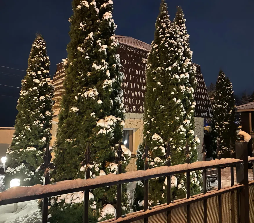 Дом на первой линии Финского залива