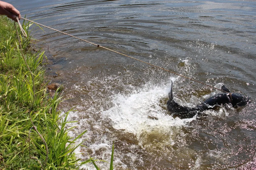 Усадьба Пядань, рыбалка